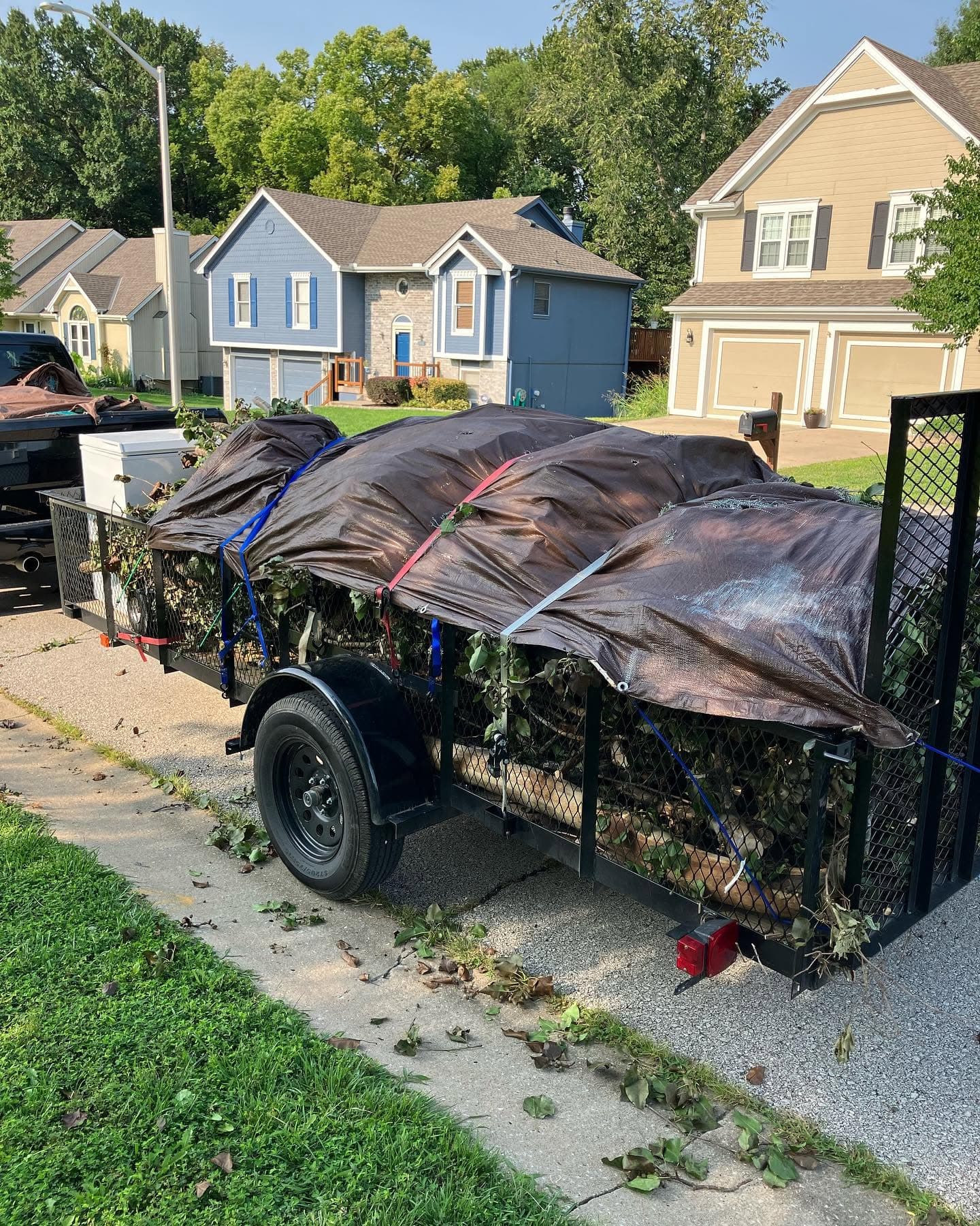 Trailer with a tarped brush removal load.